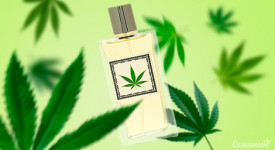 Духи из конопли