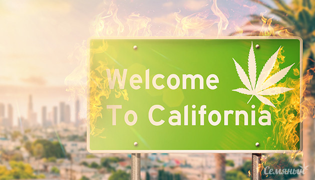 Калифорнийская жара