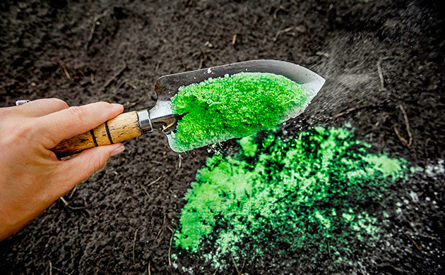 Внесение удобрения поверх почвы Внесение удобрения поверх почвы