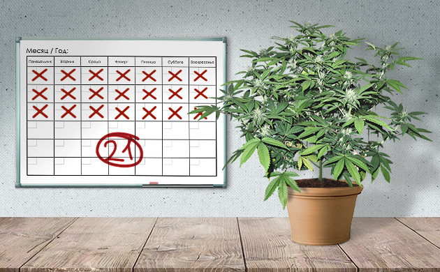 Сколько времени займет Монстр Кроппинг Какой период занимает Монстр Кроппинг