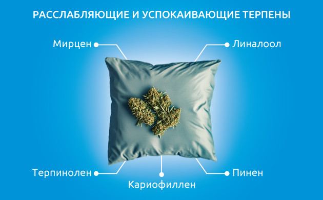 Терпены, улучшающие сон 5 терпенов для глубокого сна и расслабления