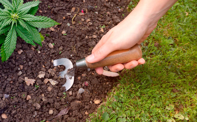 Разрыхление почвы