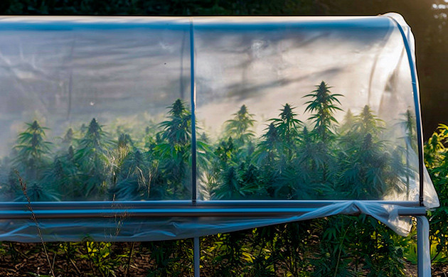 Защита от ветра