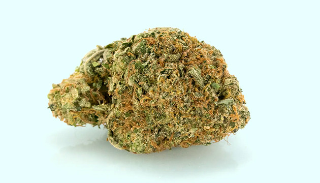 Шишка индики