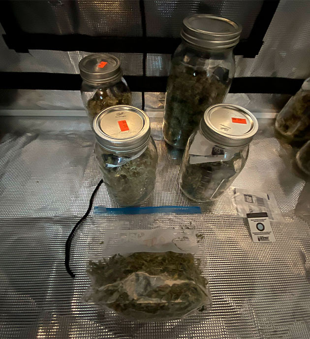 Собранный урожай Think Different Сухой урожай в банках