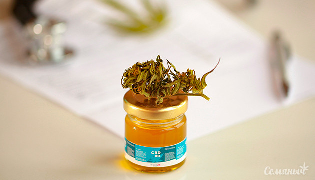 Каннабис эффективен в уничтожении клеток рака кожи КБД против раковых клеток: новое исследование