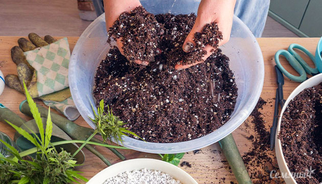 Создание почвосмеси своими руками