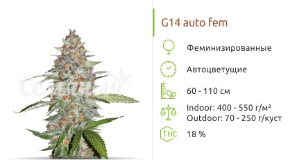 G14 auto от FastBuds
