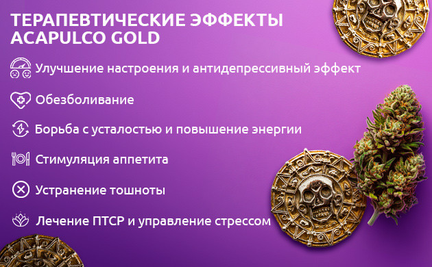 Лечебный потенциал Acapulco Gold