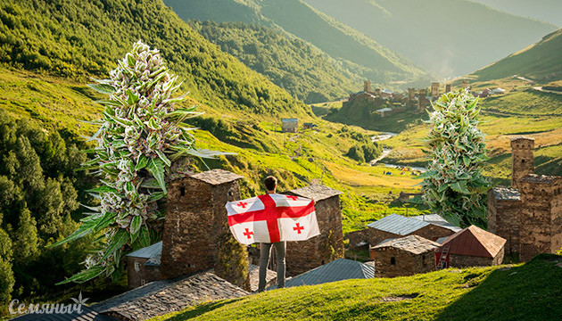 Каннабис и Грузия