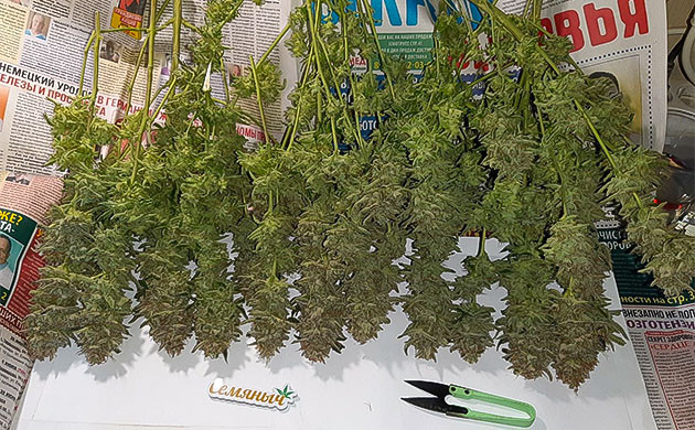 Параметры сушки и пролечка