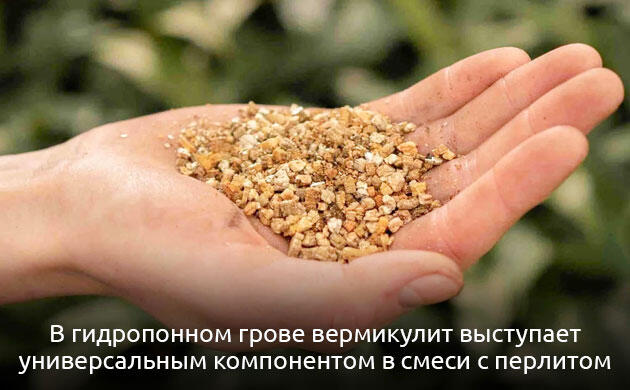 Вермикулит как субстрат для гидропонного выращивания конопли