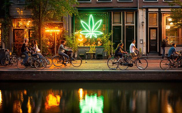 Амстердам и легализация каннабиса: первые кофешопы и гроушопы
