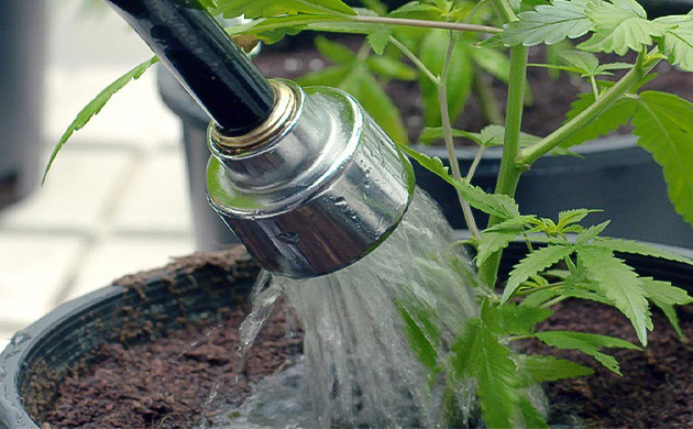 Вода в живой почве