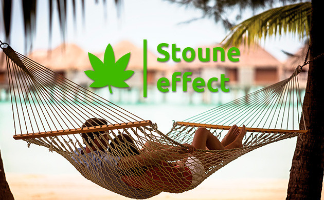 Стоун эффект индики