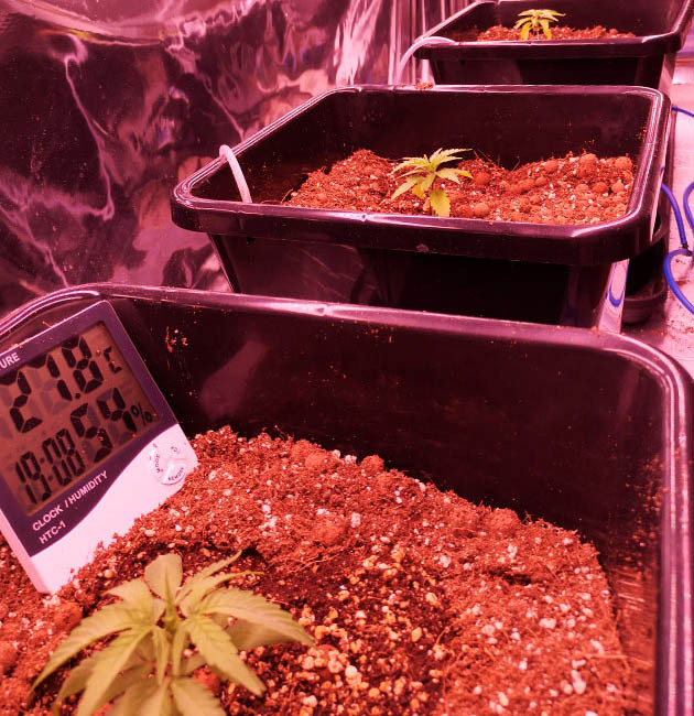 Температура в боксе 27.8 градусов