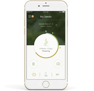 Отслеживание состояния растения через приложение Приложение Seedo