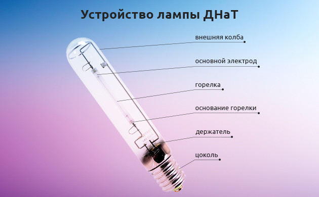 Схема лапмы ДНаТ
