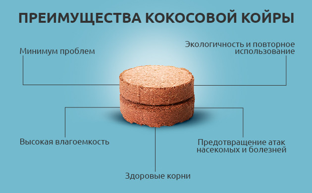 Преимущества кокосового субстрата