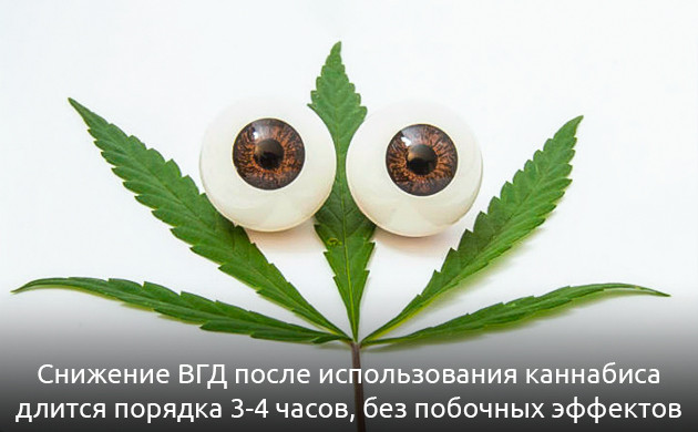 Каннабис в лечении глаукомы Медицинская марихуана: эффективность против глаукомы