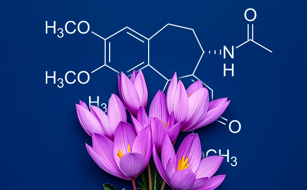 История создания триплоидов Колхицин: ключ к полиплоидии