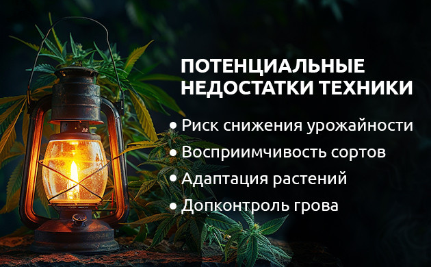 Cнижение урожайности с Газовым фонарем