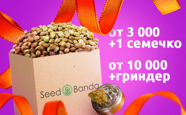 Бонусы в заказе на определенную сумму покупки