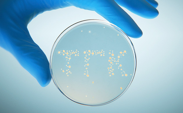 Синтезирование каннабиноидов