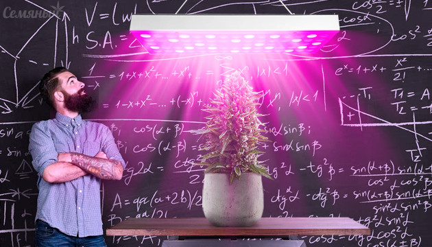 Расчет света для конопли