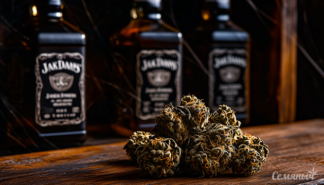 Снижение спроса продукции Jack Daniel’s на фоне легализации каннабиса Легализация каннабиса ударила по продажам Jack Daniel’s