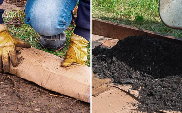 Сравнение No-till и традиционного метода