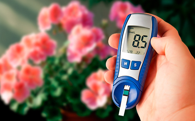 Терапевтические свойства гераниола в борьбе с диабетом Гераниол и диабет