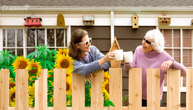 Как спрятать коноплю в аутдоре
