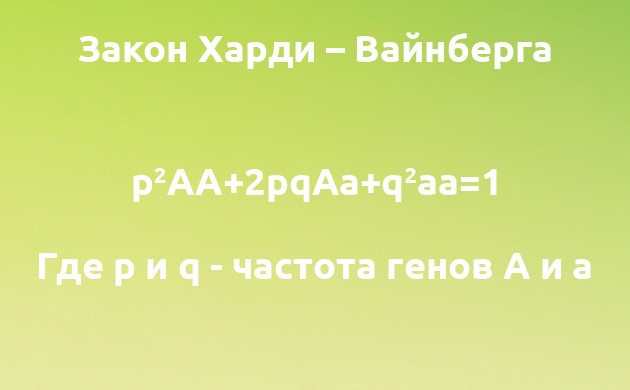 Равновесие Харди-Вайнберга в генетике каннабиса Закон Харди-Вайнберга и его значение для конопли