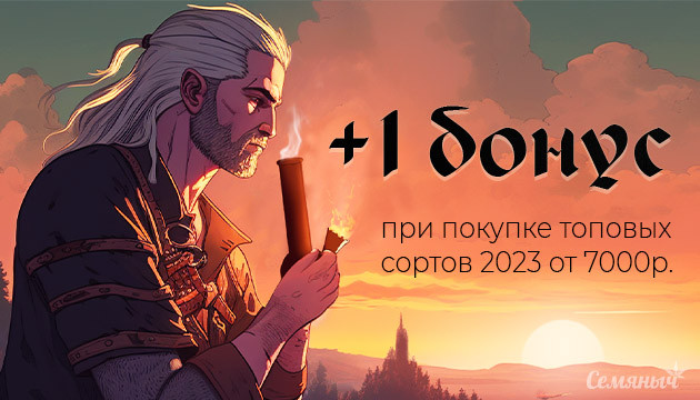 Бонус при покупке топовых сортов Акция от Семяныча: конец сезона