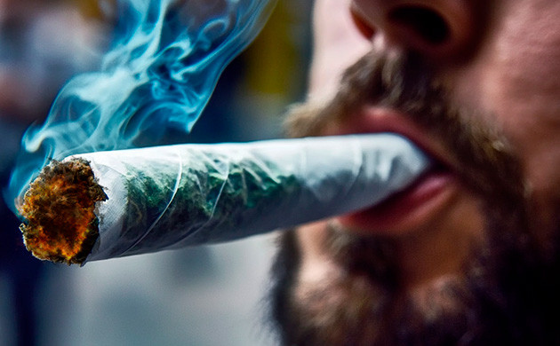Развитие толерантности при регулярном употреблении марихуаны Толерантность к каннабису