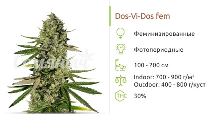 Dos-Vi-Dos от сидбанка Семяныч