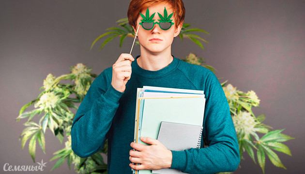 Работа в канна индустрии