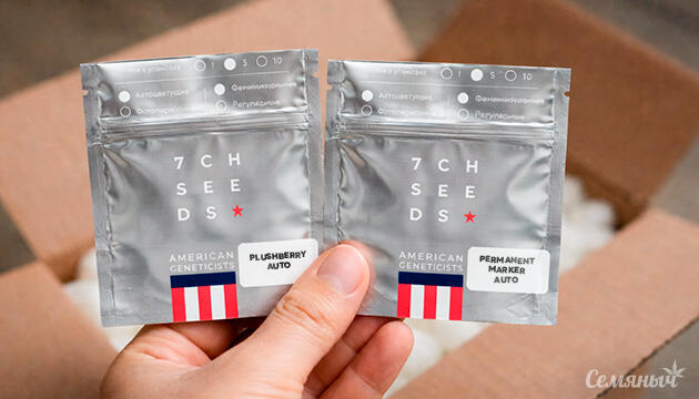 Новые сорта от 7CH American 2 новинки от 7CH American