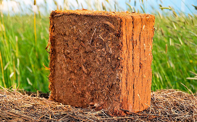 Повторное использование кокосовой койры: руководство