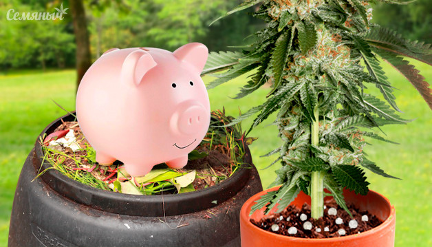 Минеральные и органические удобрения