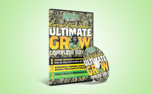 Фильм Хорхе Сервантеса Издание «Высший пилотаж выращивания конопли» на DVD диске