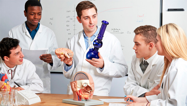 Влияние марихуаны на организм