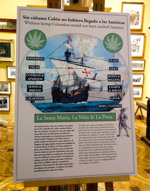 Экспозиция музея