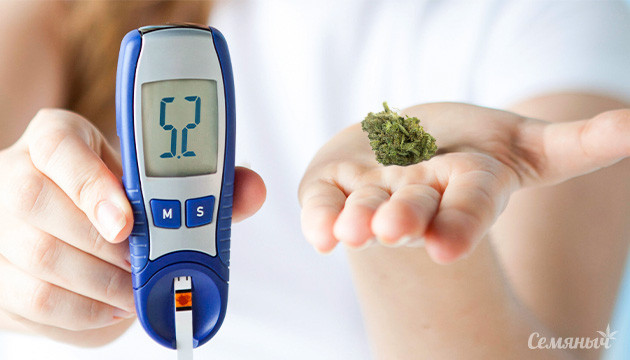 Комбинация ТГК и КБД контролирует уровень сахара в крови