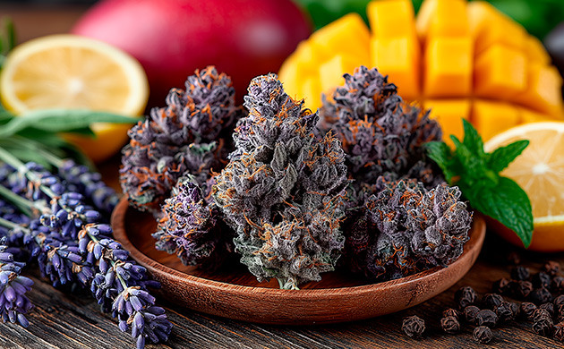 Вкус и терпеновый профиль сорта Purple Kush Вкус и аромат Purple Kush