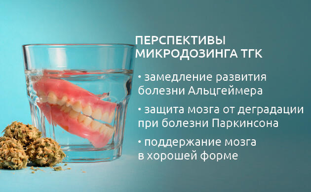 Каннабиноиды в контексте нейропротекции и старения