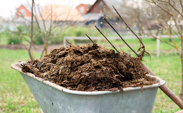 Коровий навоз