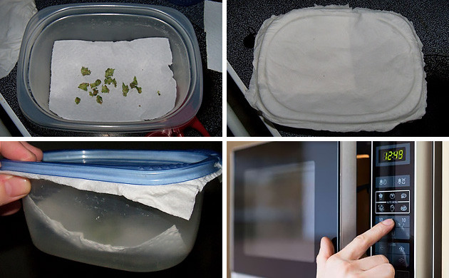 Как просушить урожай бошек конопли в микроволновке Сушка бошек конопли в микроволновке паром