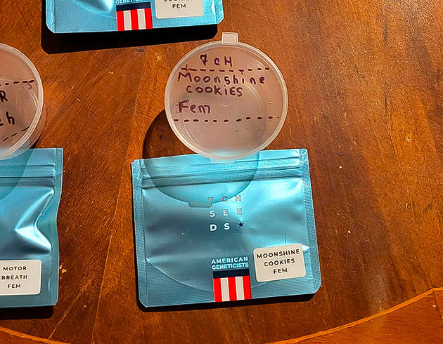 Проращивание сорта Moonshine Cookies Moonshine Cookies в герметичном контейнере